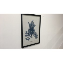 Wandbild mit Rahmen, 54 x 74 cm