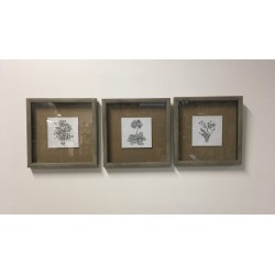 Bilderset 3-tlg., 33 cm x 33 cm