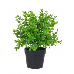 Kunstpflanze Sedum